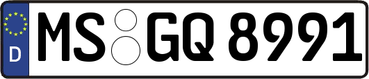MS-GQ8991