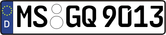 MS-GQ9013