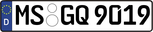 MS-GQ9019