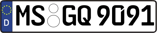 MS-GQ9091
