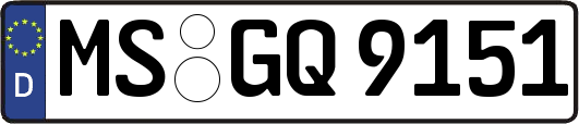 MS-GQ9151