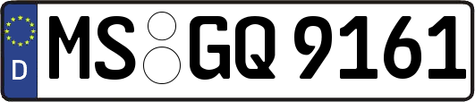 MS-GQ9161