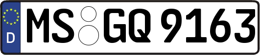 MS-GQ9163