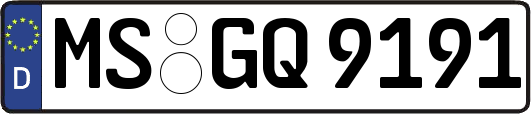 MS-GQ9191