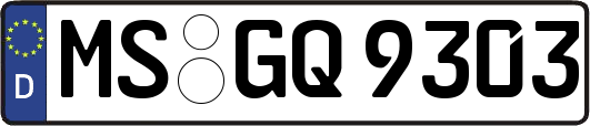 MS-GQ9303