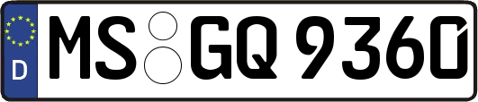 MS-GQ9360