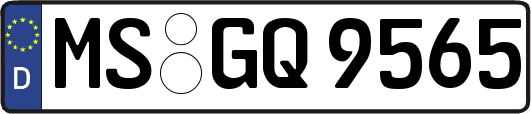 MS-GQ9565