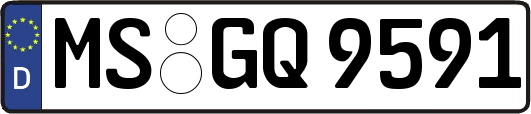 MS-GQ9591