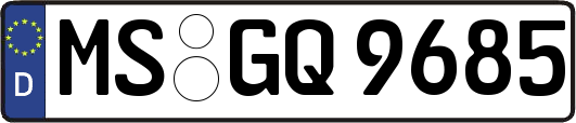 MS-GQ9685