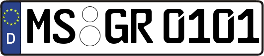 MS-GR0101