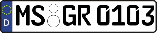 MS-GR0103