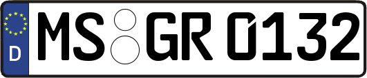 MS-GR0132