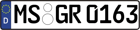MS-GR0163