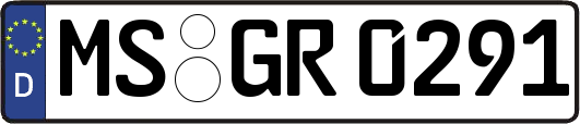 MS-GR0291