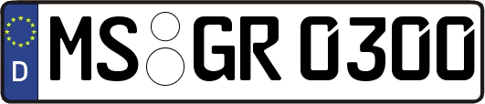 MS-GR0300