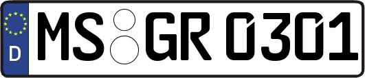 MS-GR0301