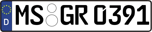 MS-GR0391