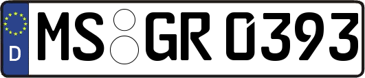 MS-GR0393
