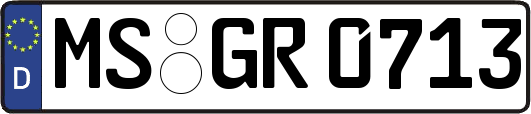 MS-GR0713