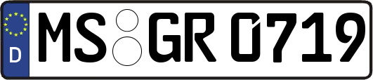 MS-GR0719