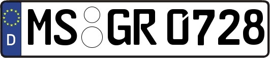 MS-GR0728