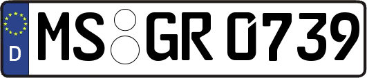 MS-GR0739