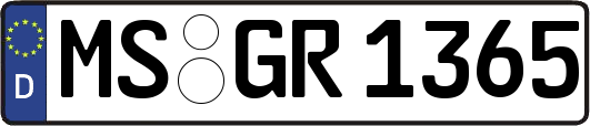 MS-GR1365