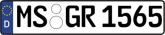 MS-GR1565