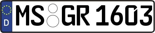 MS-GR1603