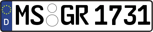 MS-GR1731