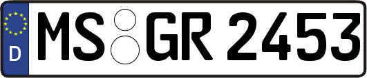 MS-GR2453