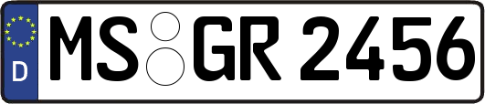 MS-GR2456
