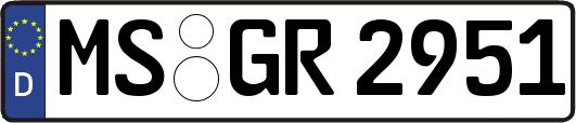 MS-GR2951