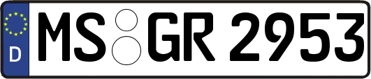 MS-GR2953
