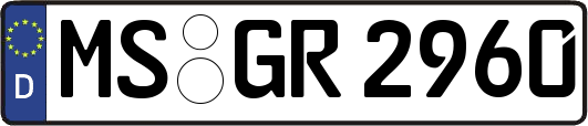 MS-GR2960