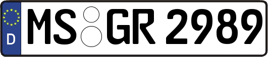 MS-GR2989