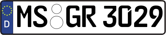 MS-GR3029