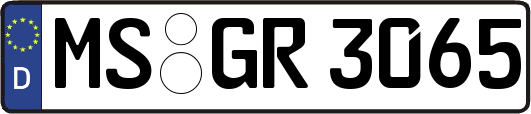 MS-GR3065