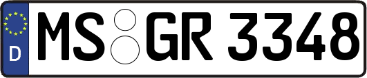 MS-GR3348