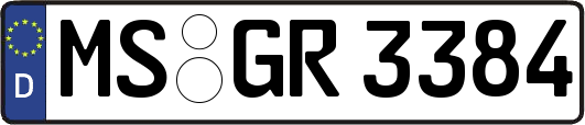MS-GR3384