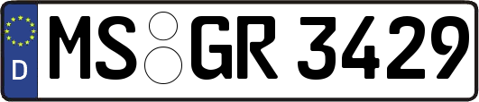 MS-GR3429
