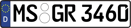 MS-GR3460