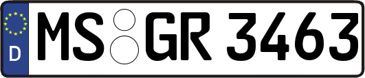 MS-GR3463