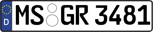 MS-GR3481