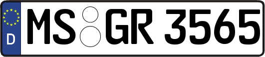 MS-GR3565