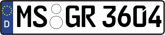 MS-GR3604