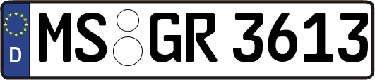 MS-GR3613