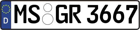 MS-GR3667