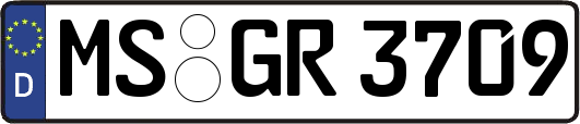 MS-GR3709