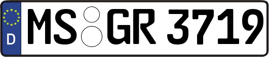 MS-GR3719